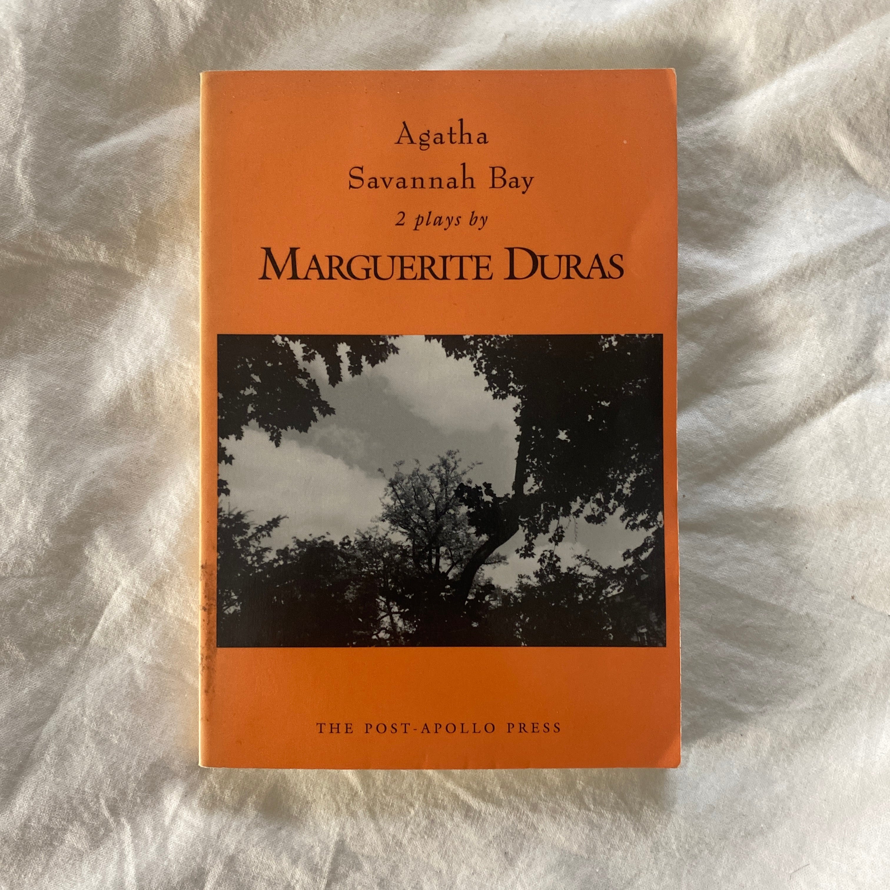 Agatha / Savannah Bay by Marguerite Duras