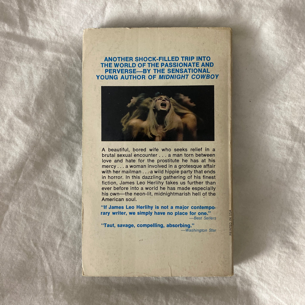 A Story That Ends With A Scream by James Leo Herlihy