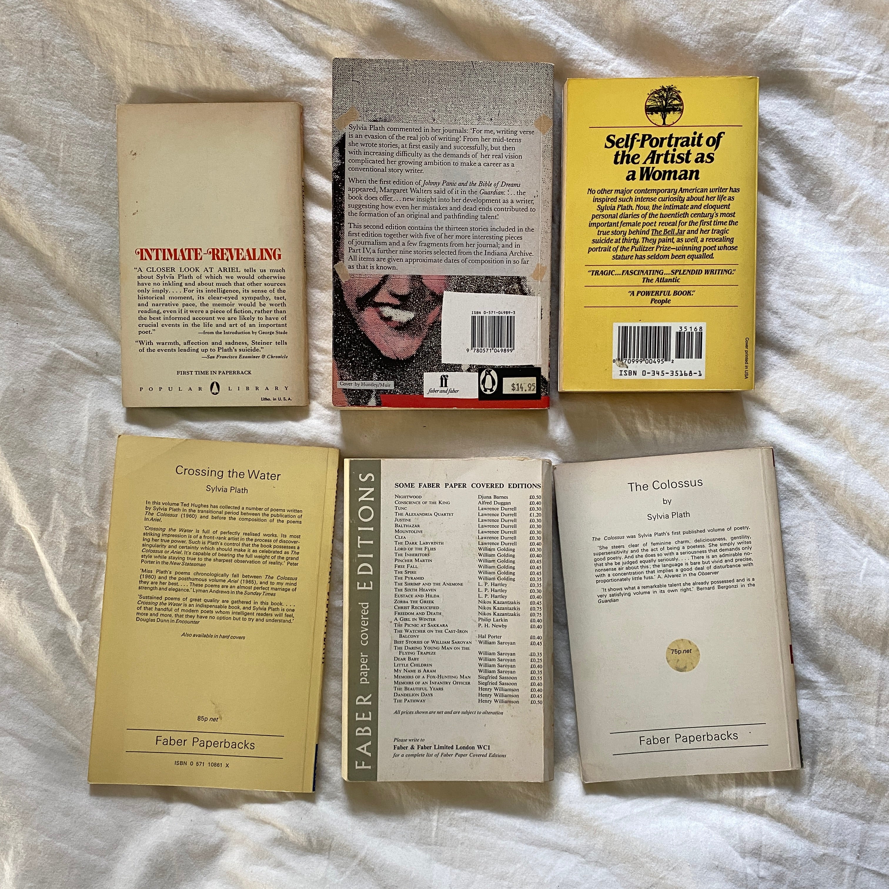 Sylvia Plath Starter Pack