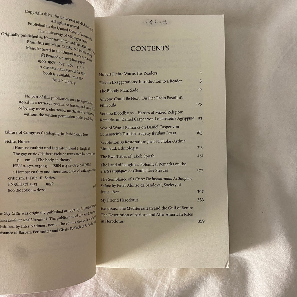 The Gay Critic by Hubert Fichte