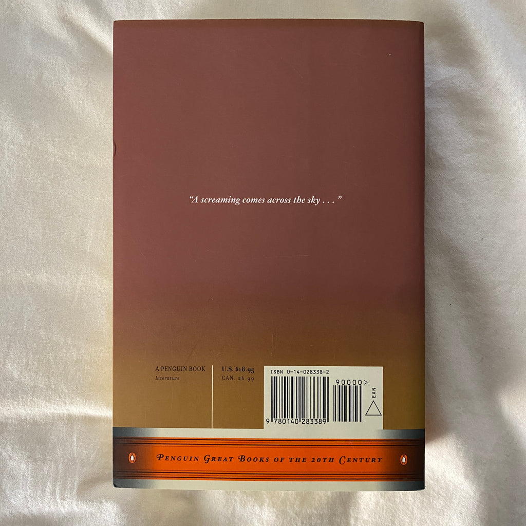 Gravity’s Rainbow by Thomas Pynchon