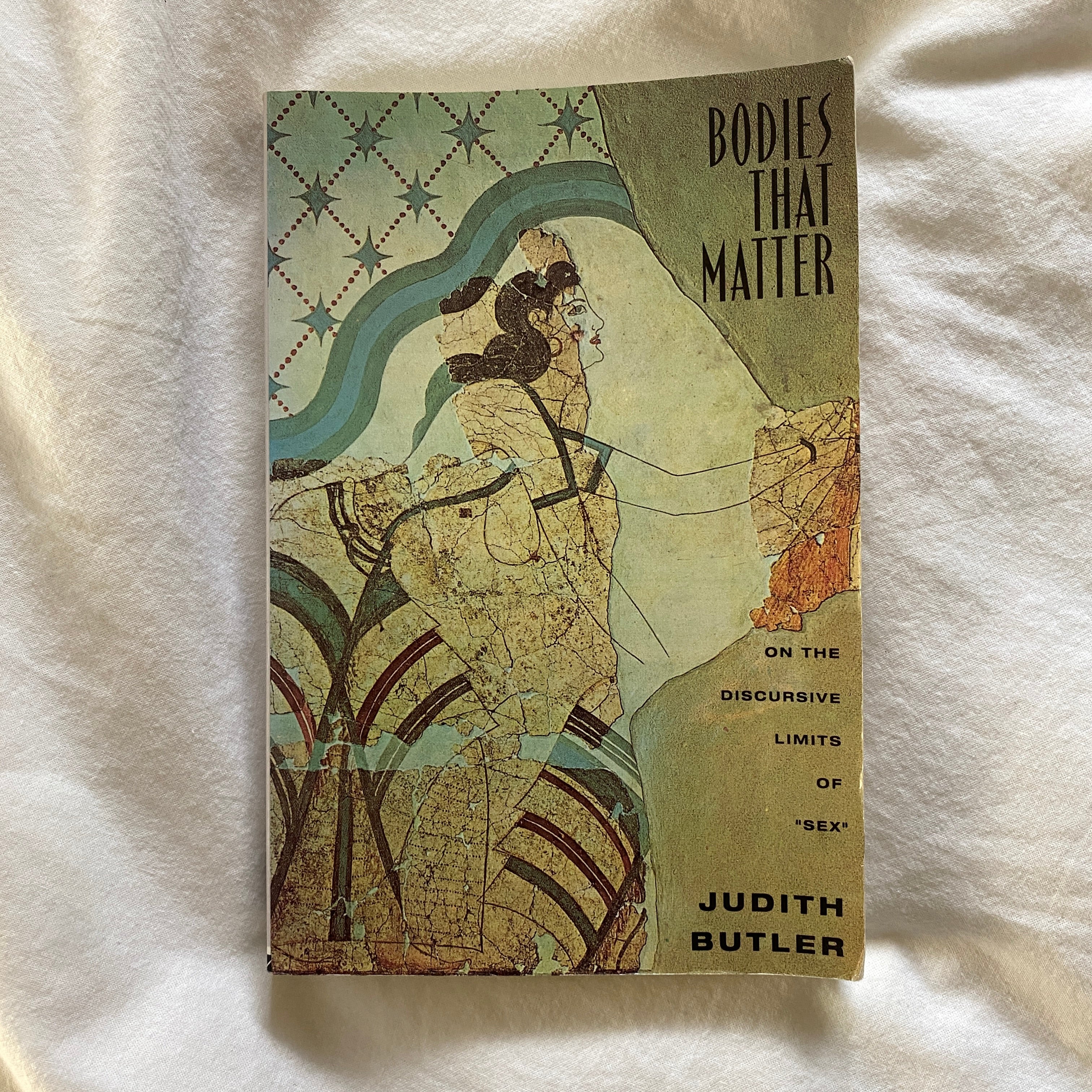 Bodies That Matter by Judith Butler