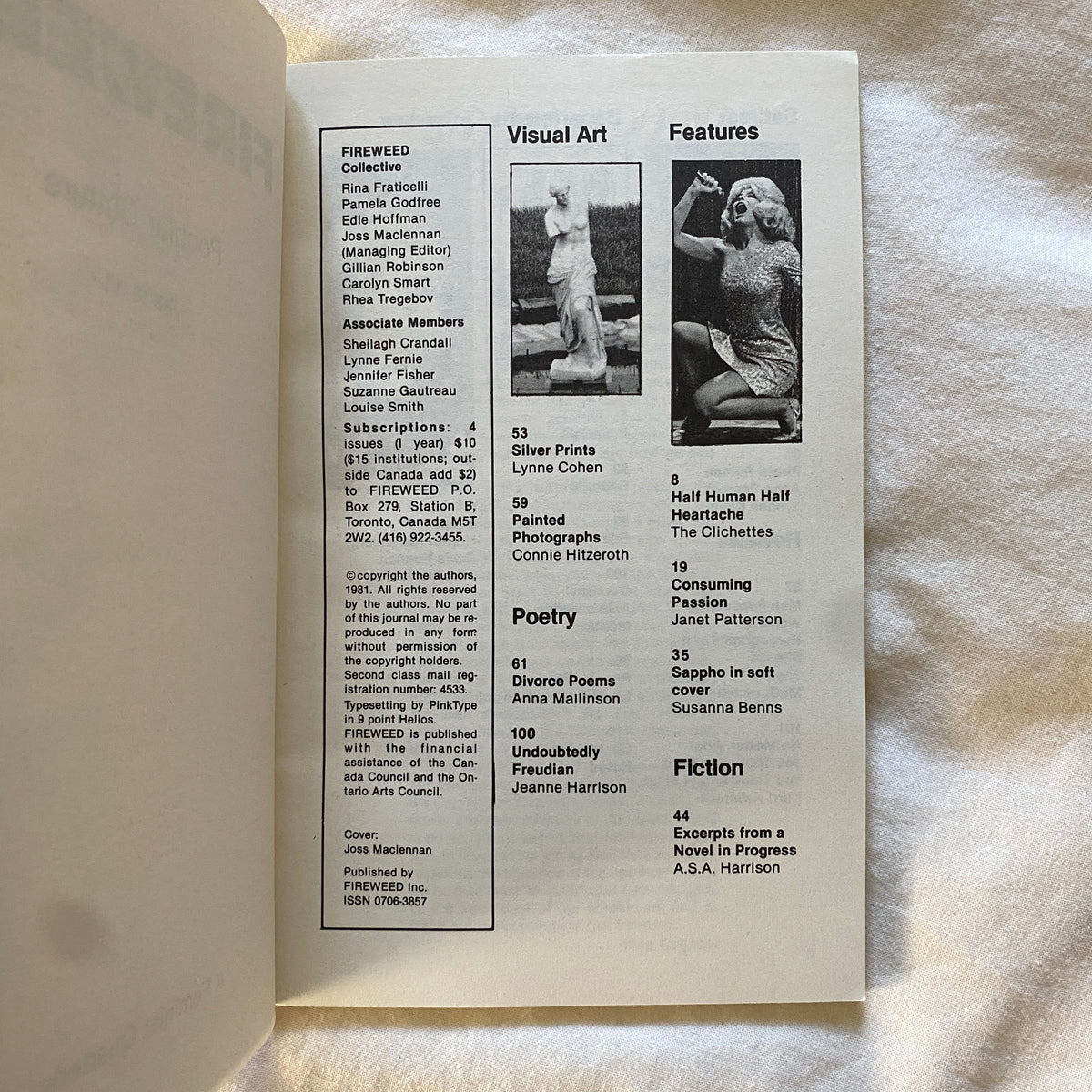 Fireweed: A Feminist Quarterly Issue 11