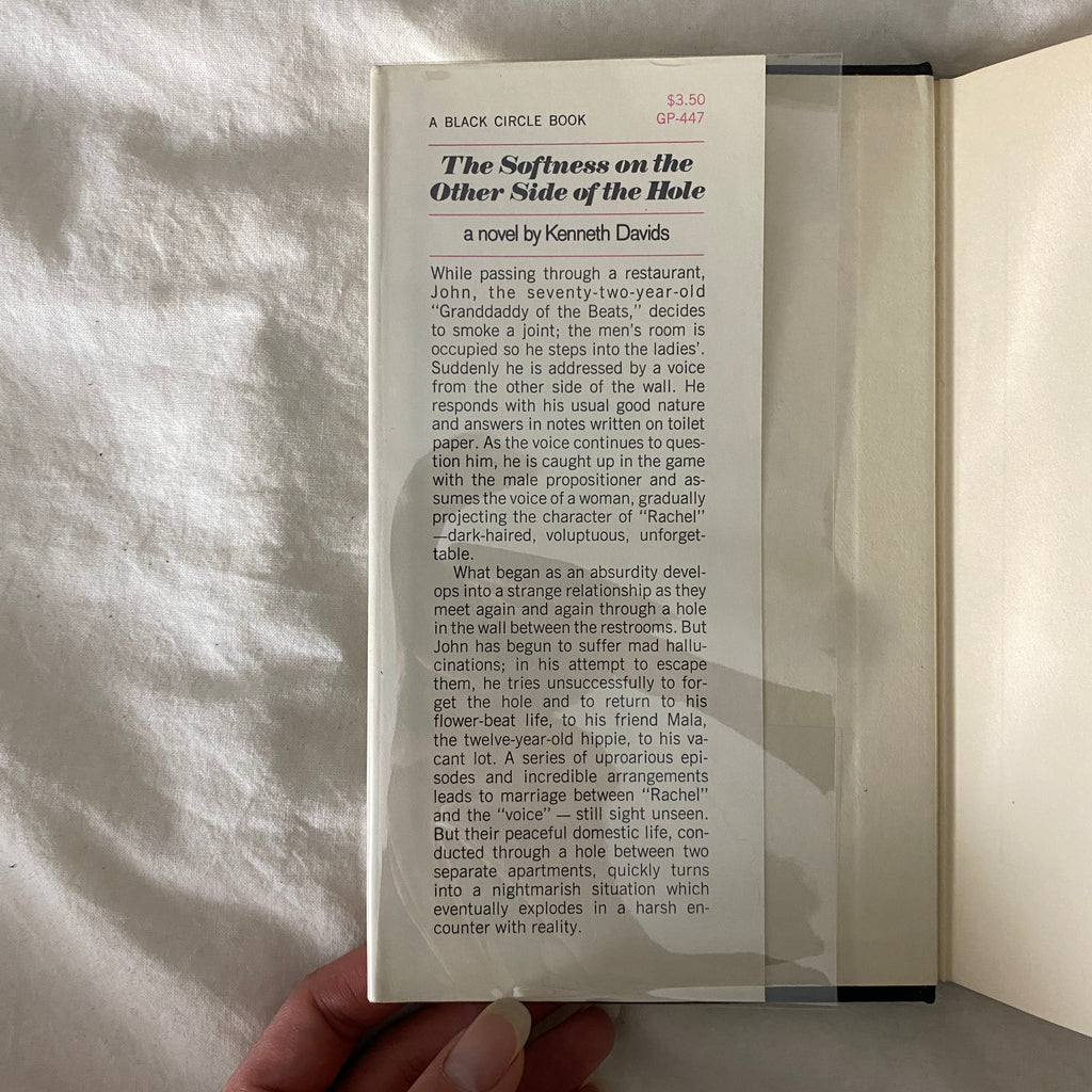 The Softness on the Other Side of the Hole by Kenneth Davis