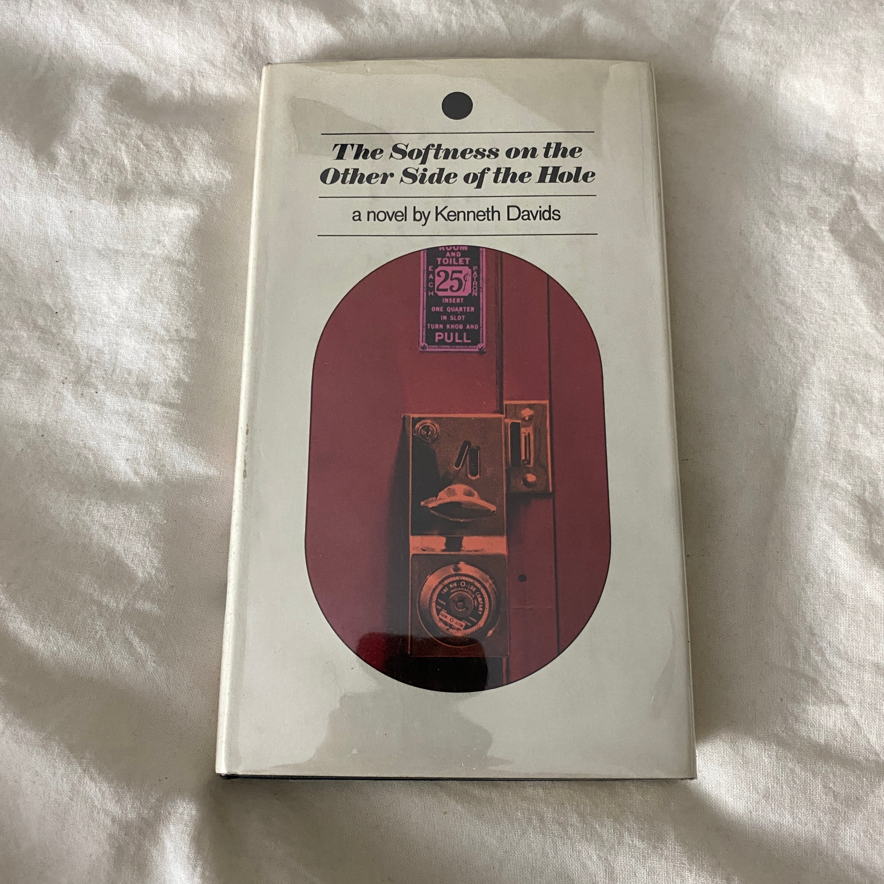 The Softness on the Other Side of the Hole by Kenneth Davis