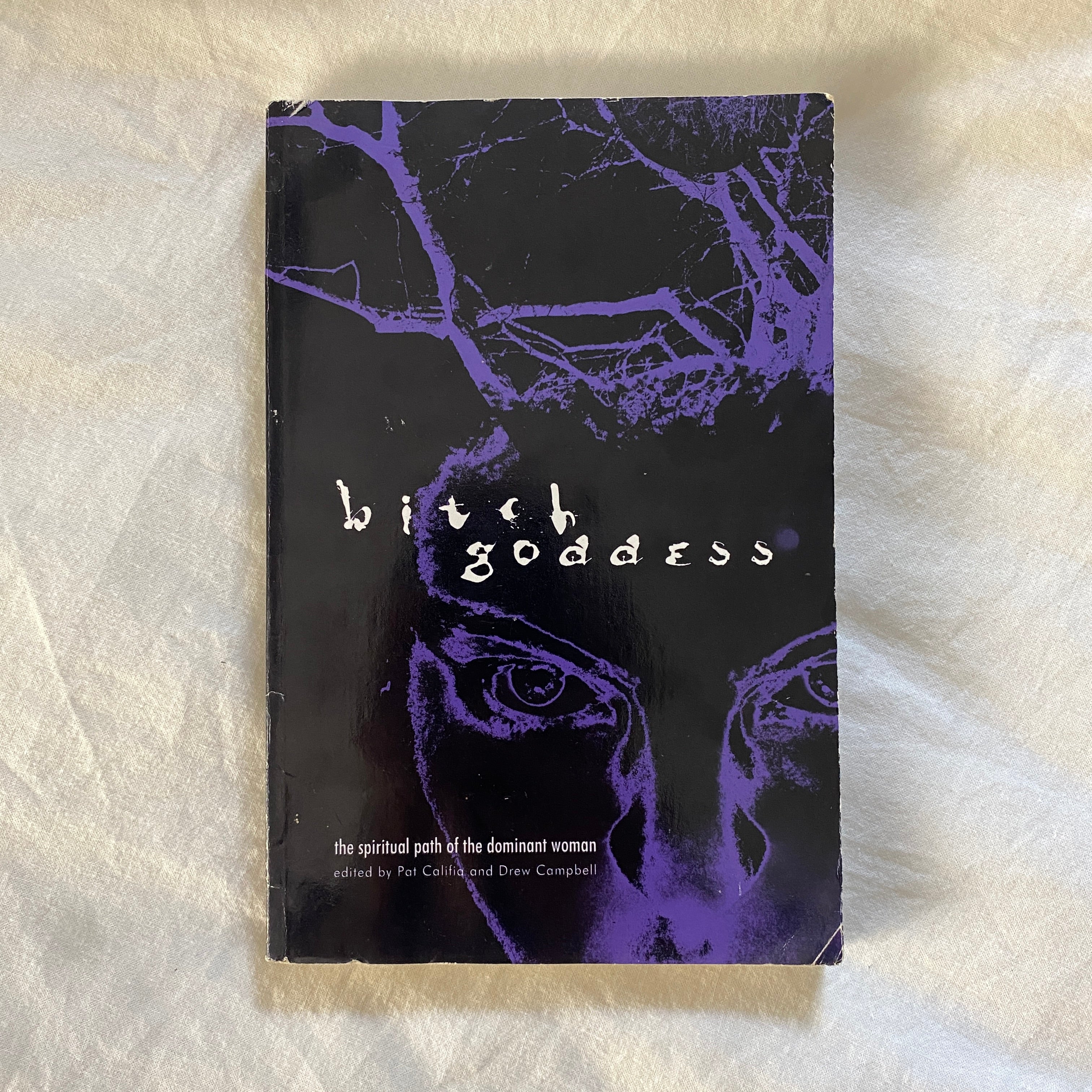 Bitch Goddess edited by Pat Califia and Drew Campbell