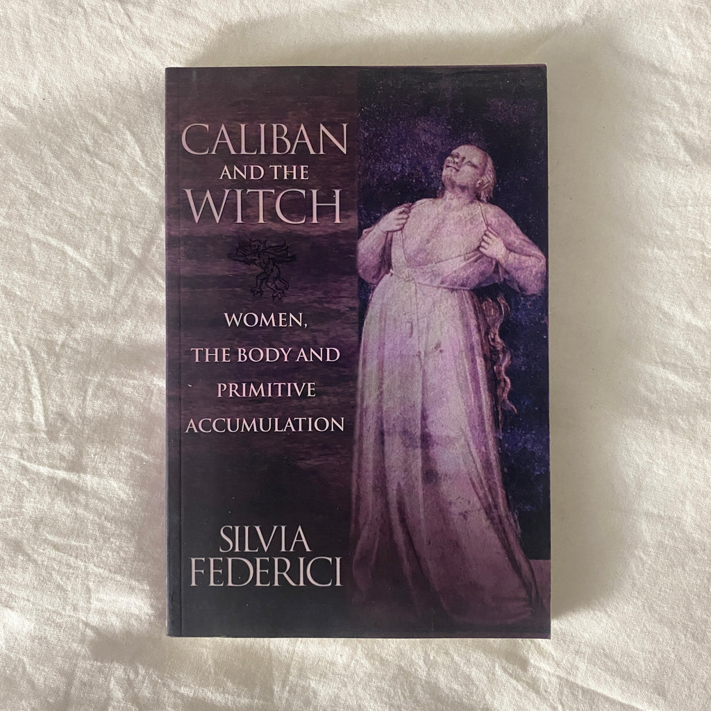 Caliban and the Witch by Silvia Federico