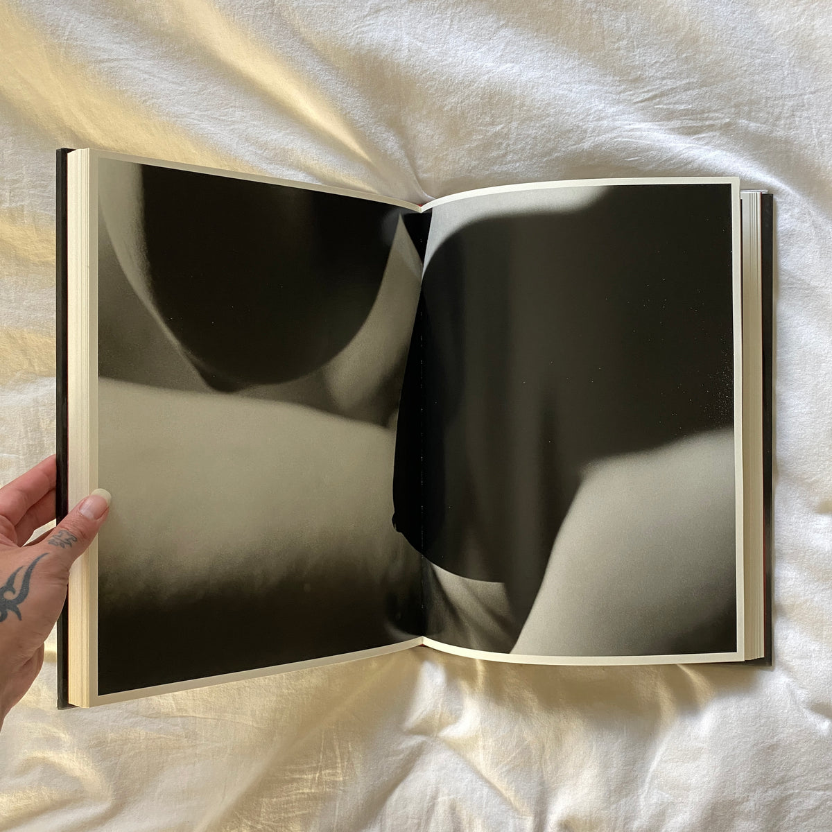 Nudes by David Lynch