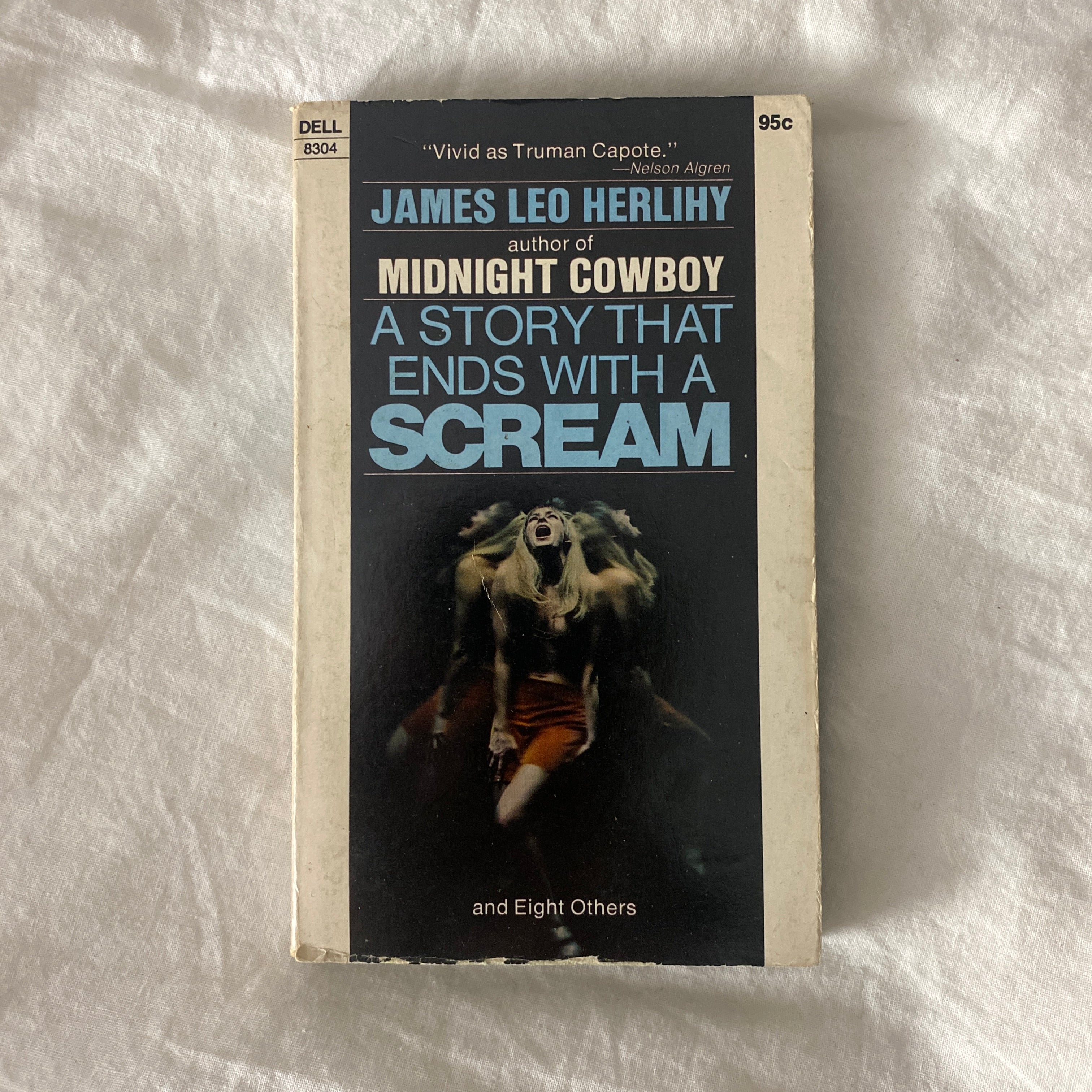A Story That Ends With A Scream by James Leo Herlihy