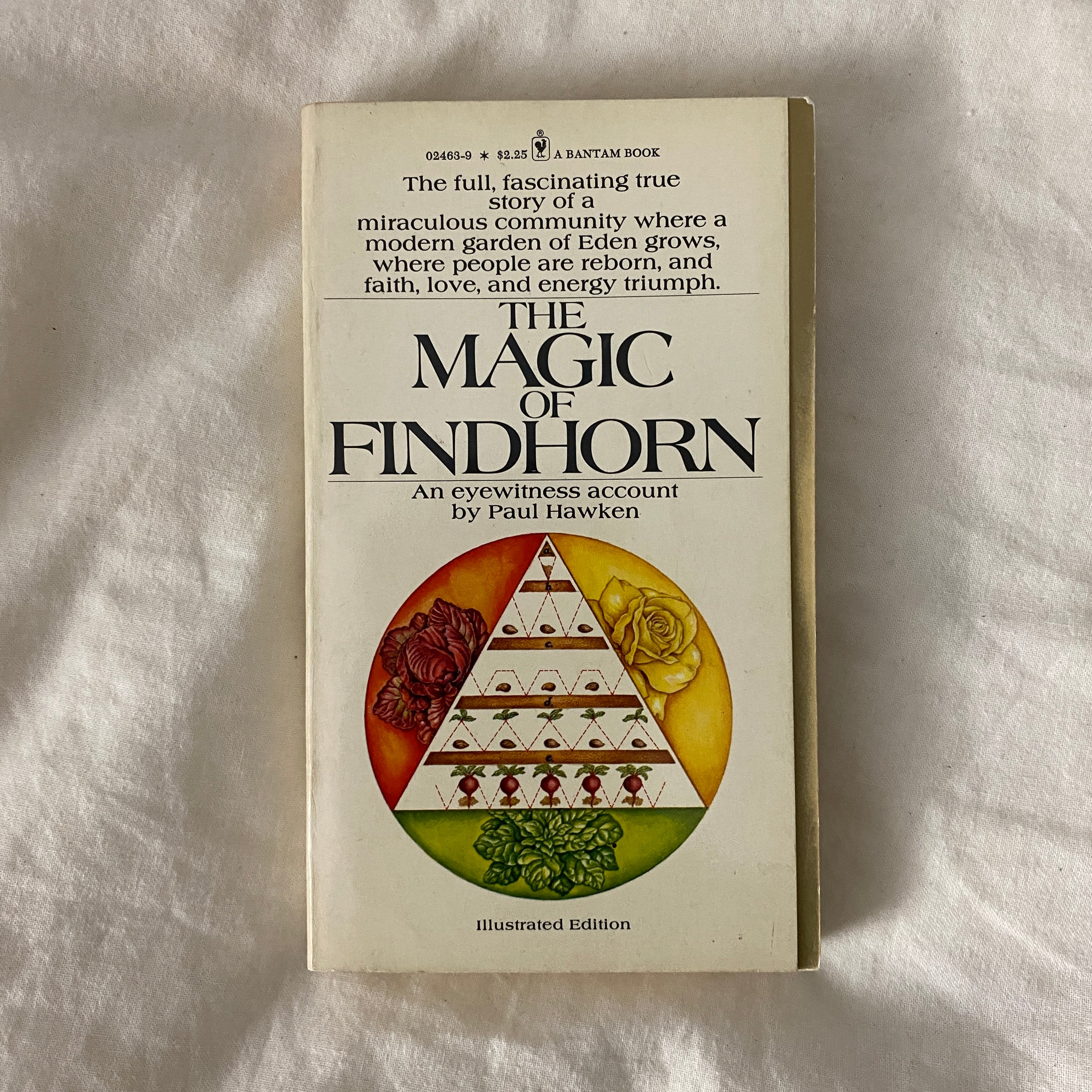 The Magic of Findhorn by Paul Hawken