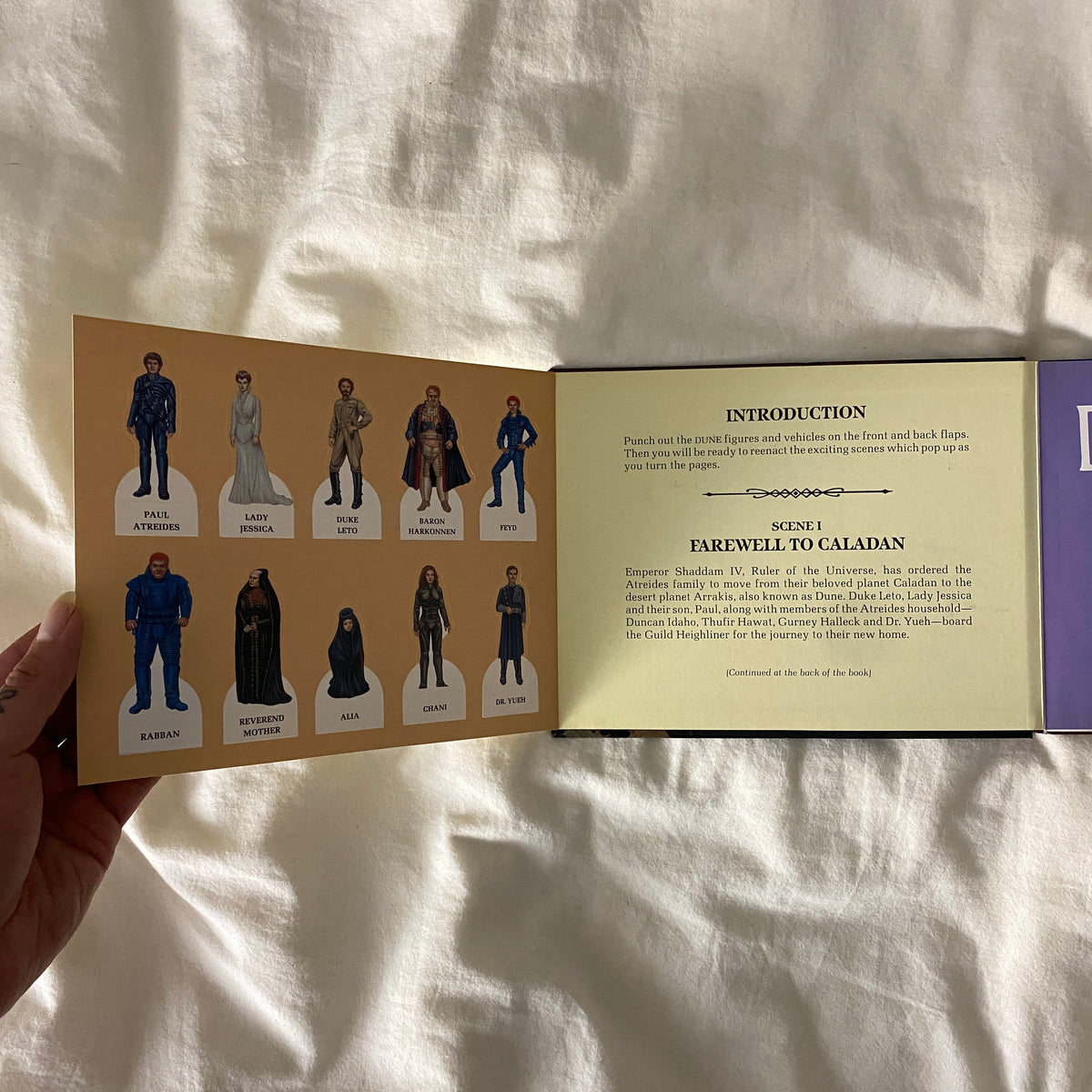 Dune: Pop-Up Panorama Book by Maida Silverman