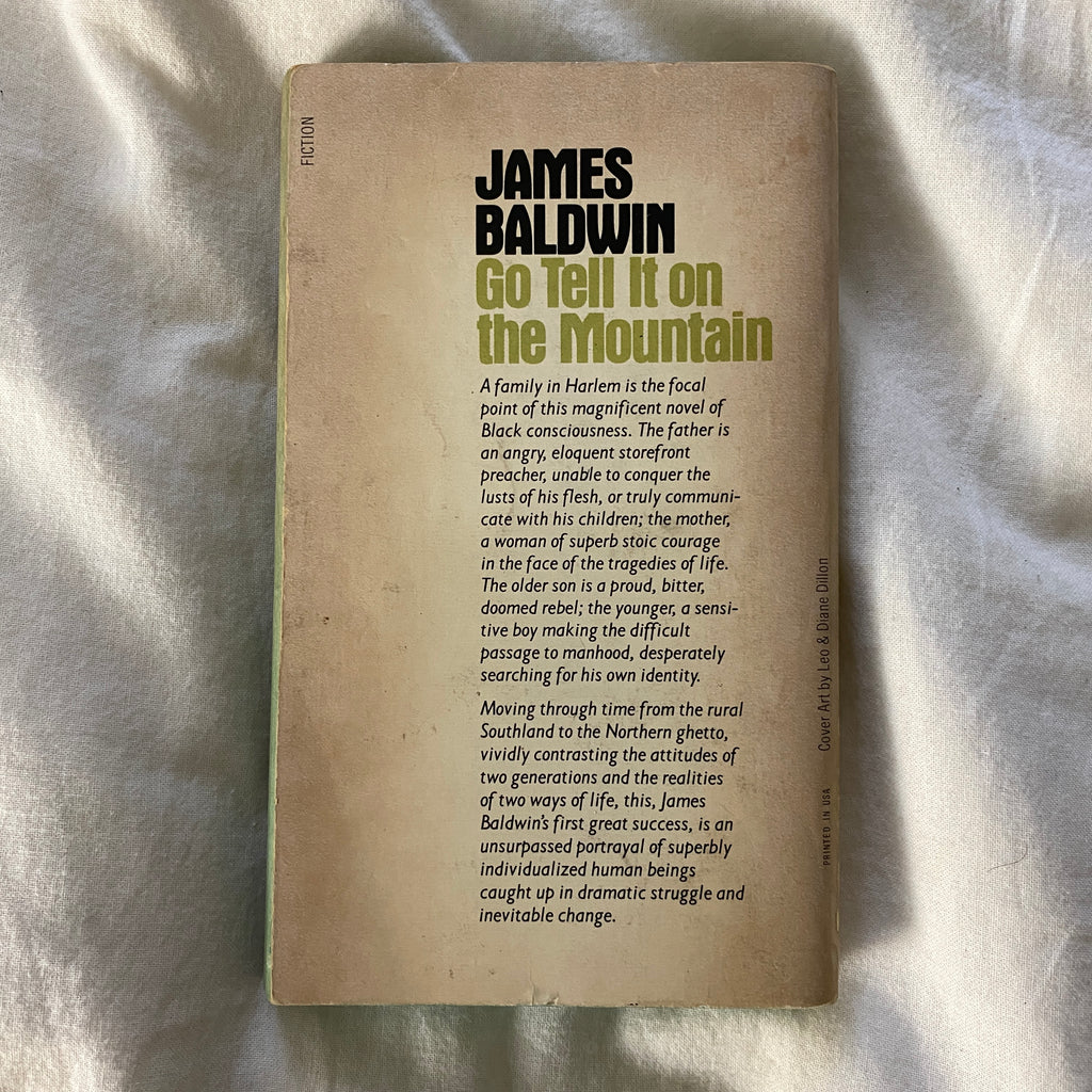 Go Tell It on the Mountain by James Baldwin