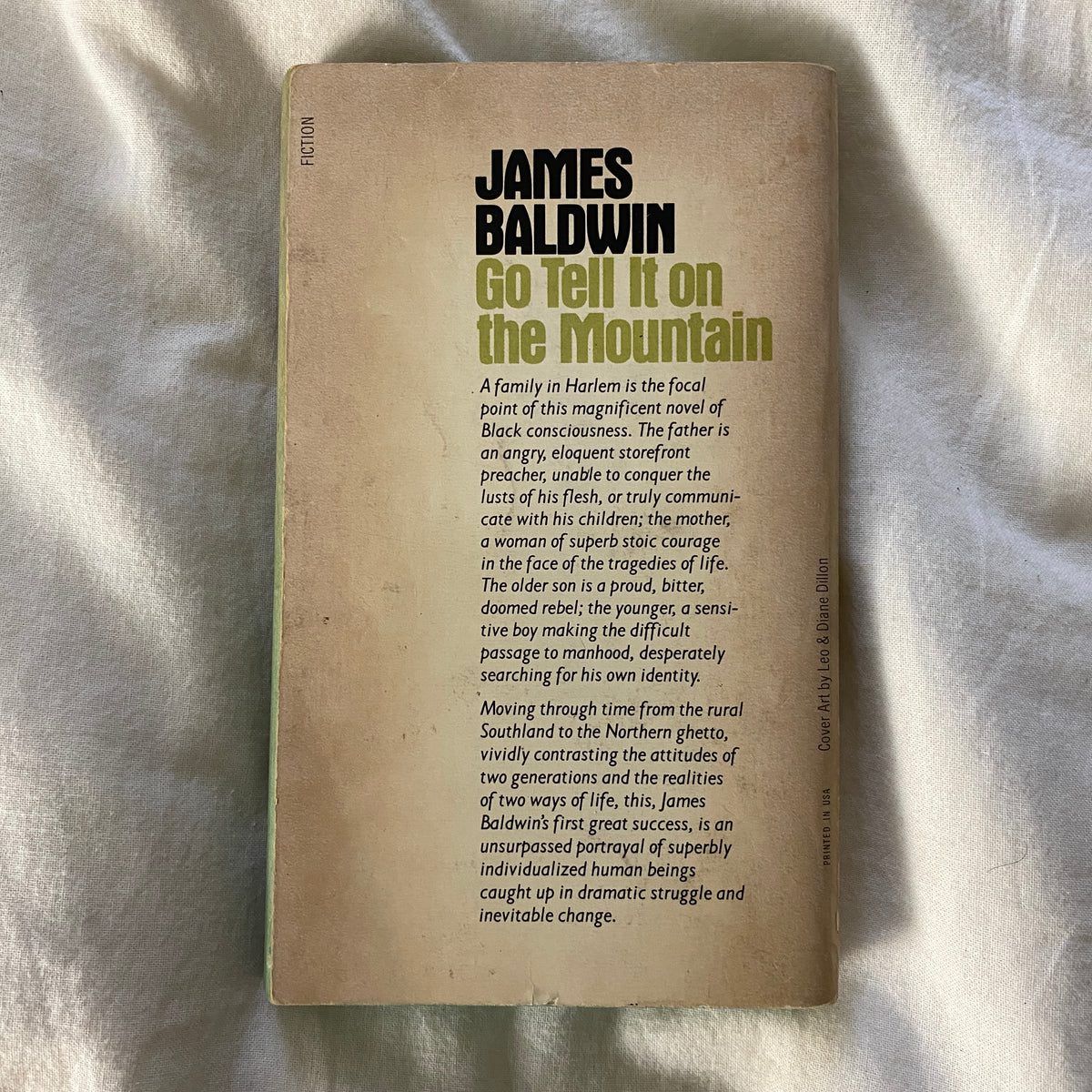Go Tell It on the Mountain by James Baldwin