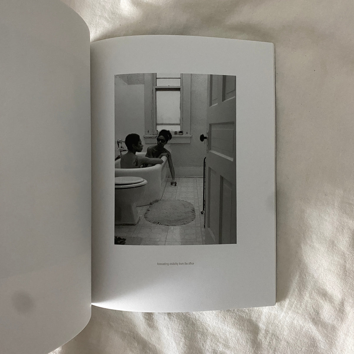 Interior/Exterior, Full/Empty by Lorna Simpson