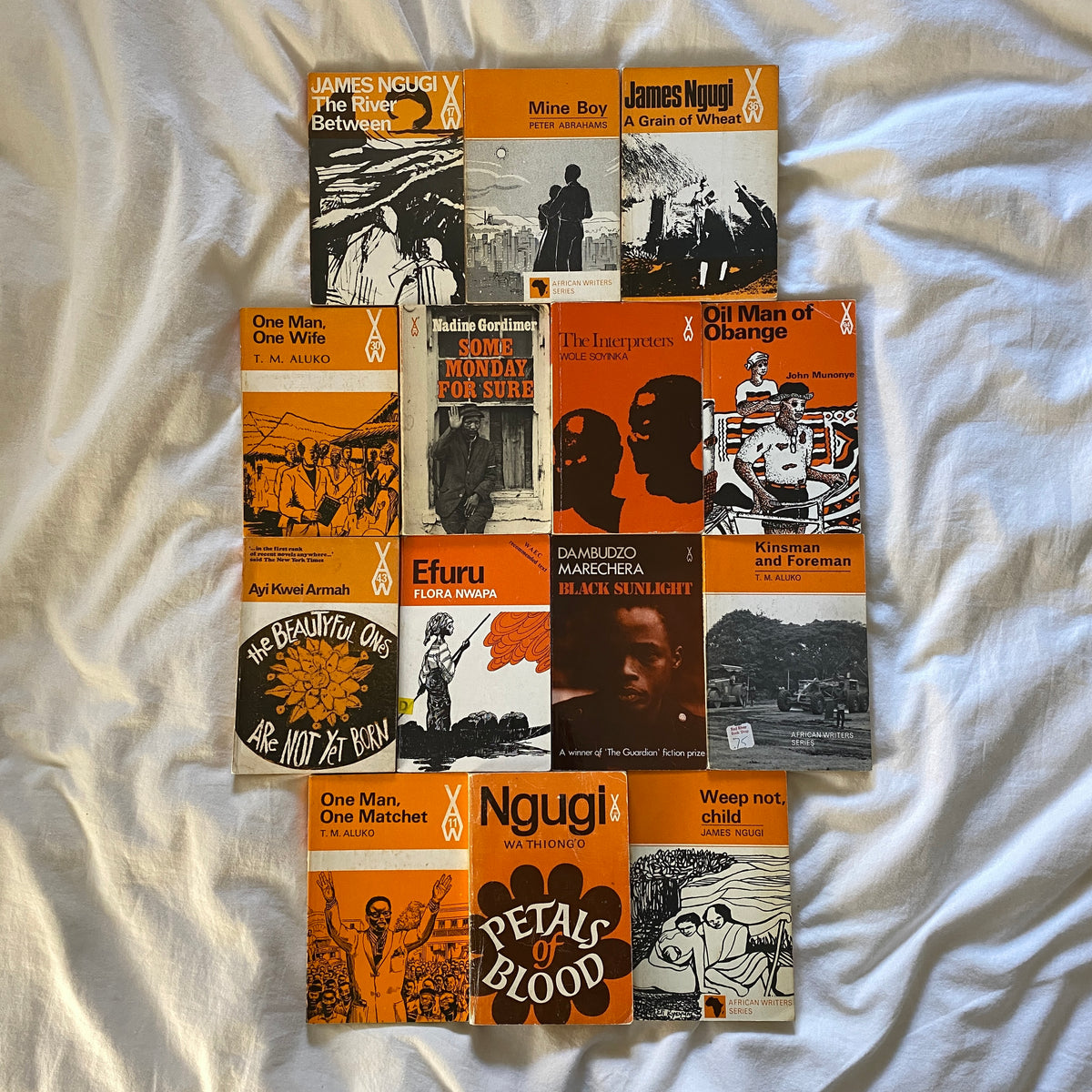 Fourteen African Writers Series Novels