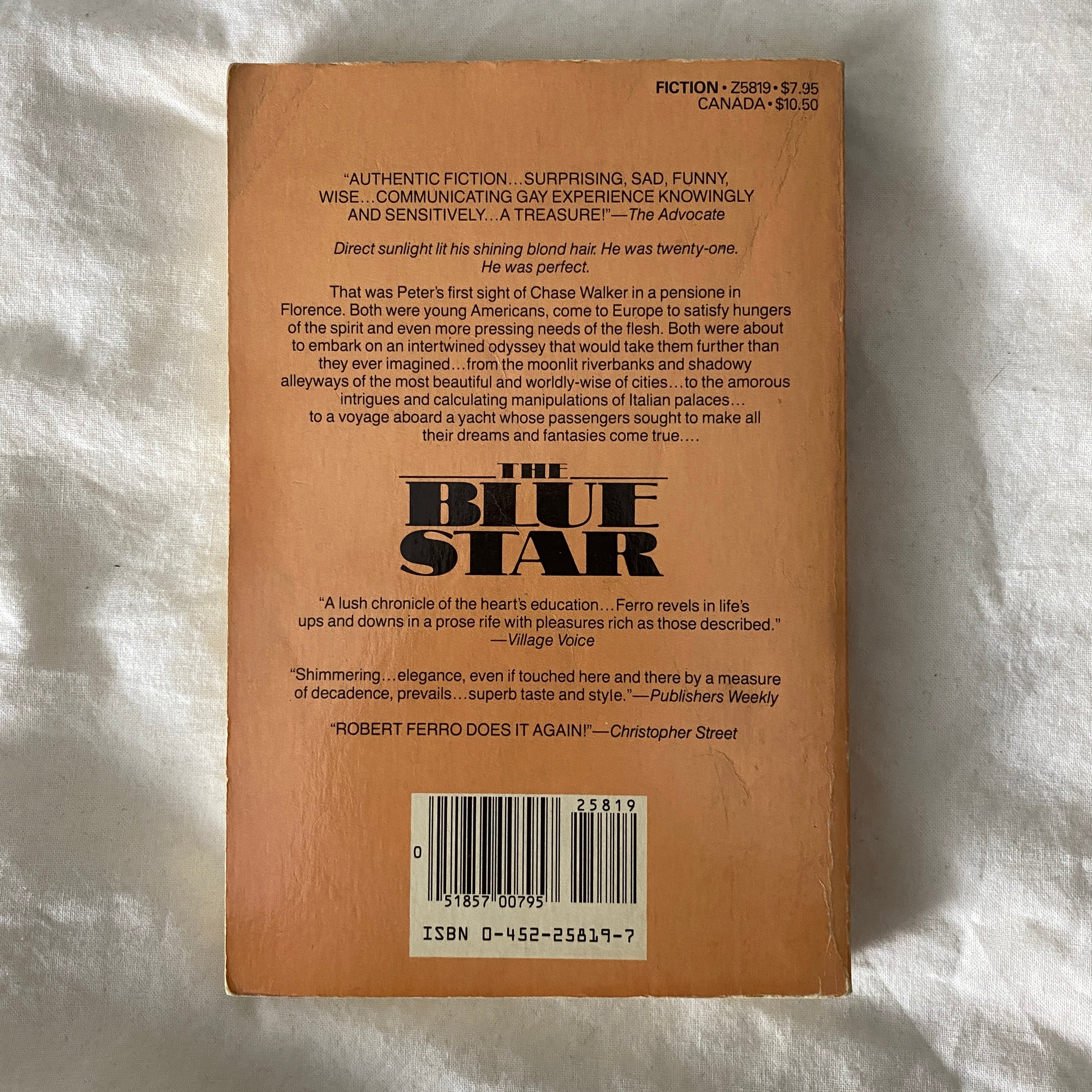 The Blue Star by Robert Ferro