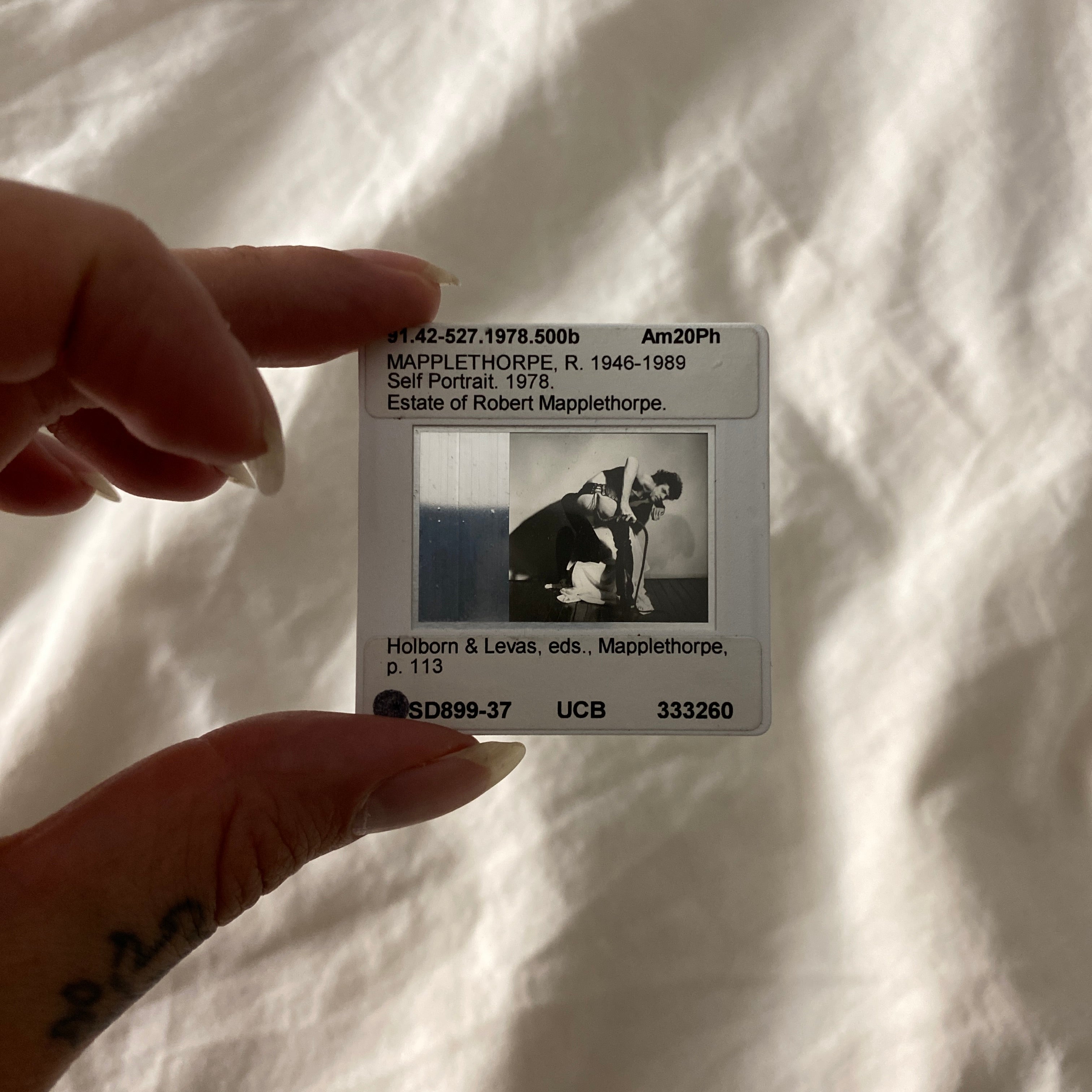 Robert Mapplethorpe slide UC Berkeley