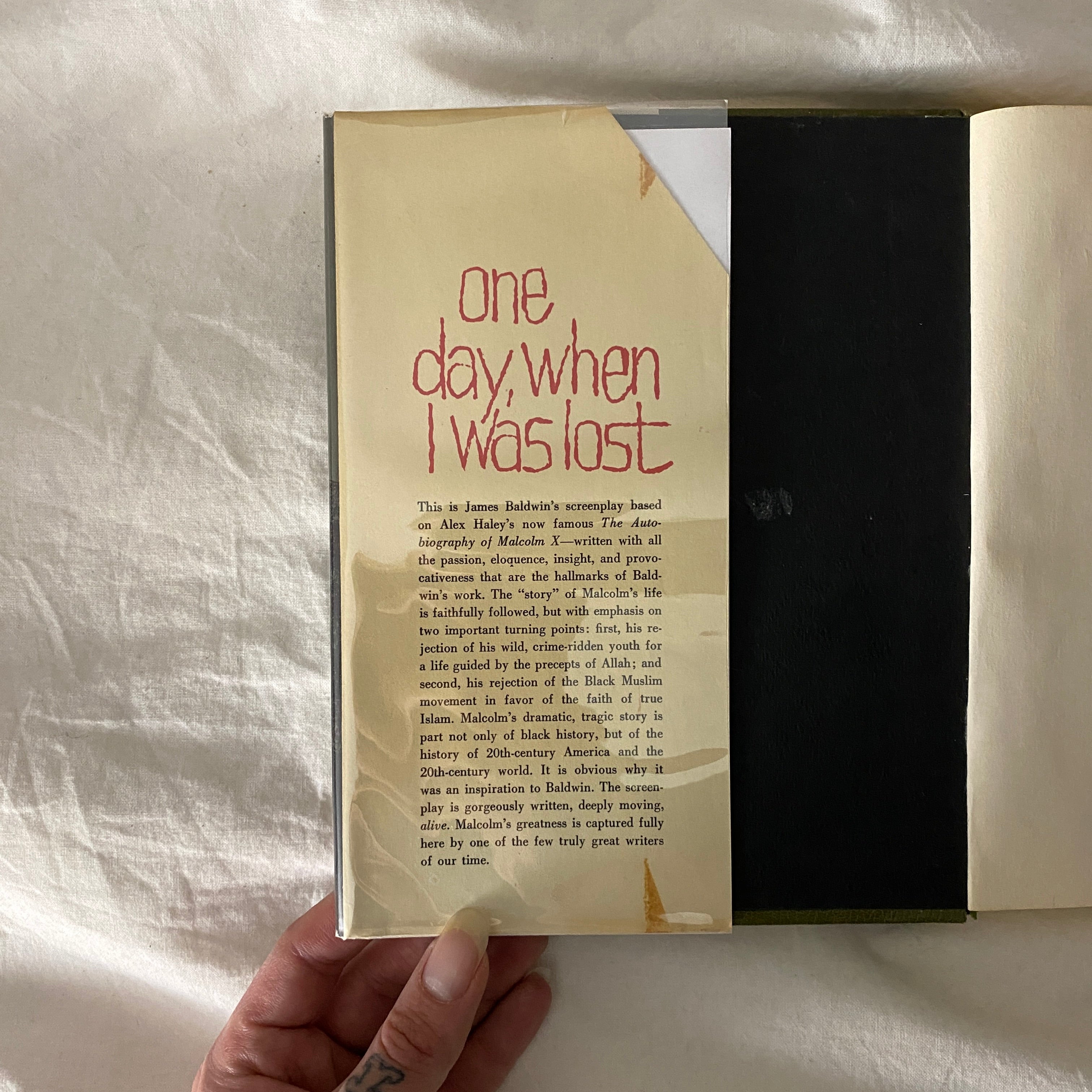 One Day, When I Was Lost by James Baldwin